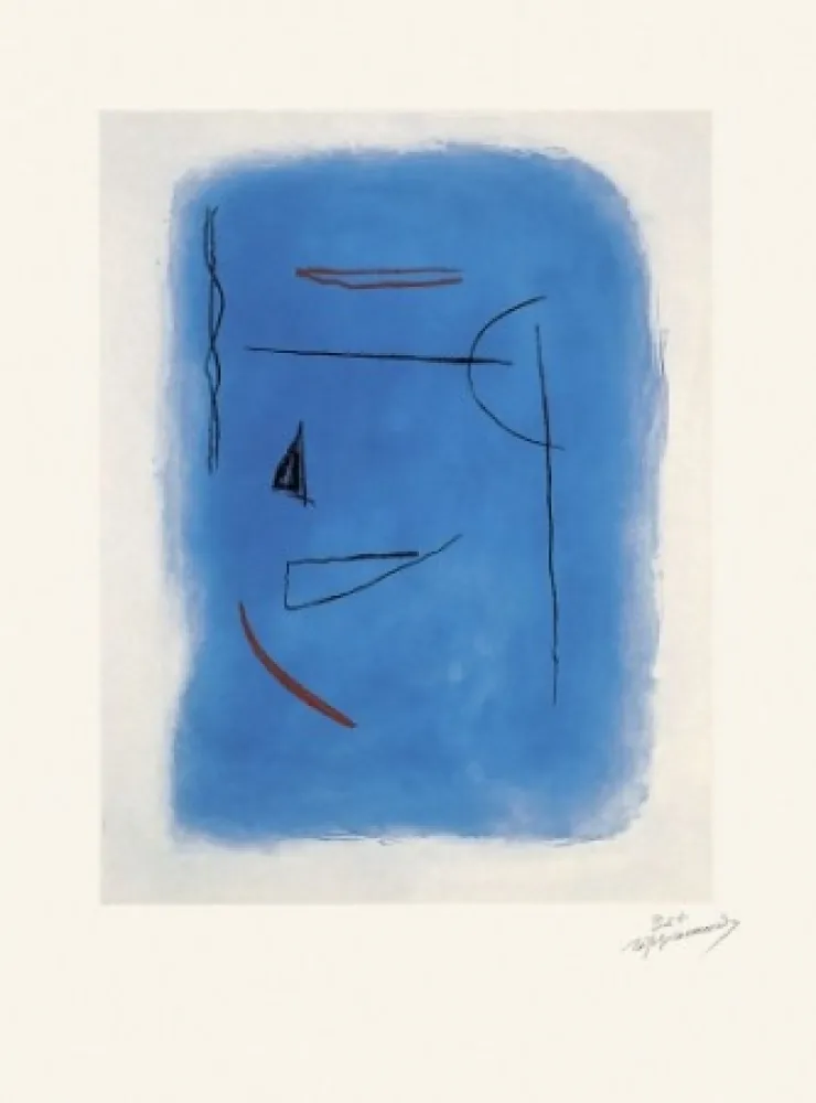 Stich Ràfols Casamada - Gran-2