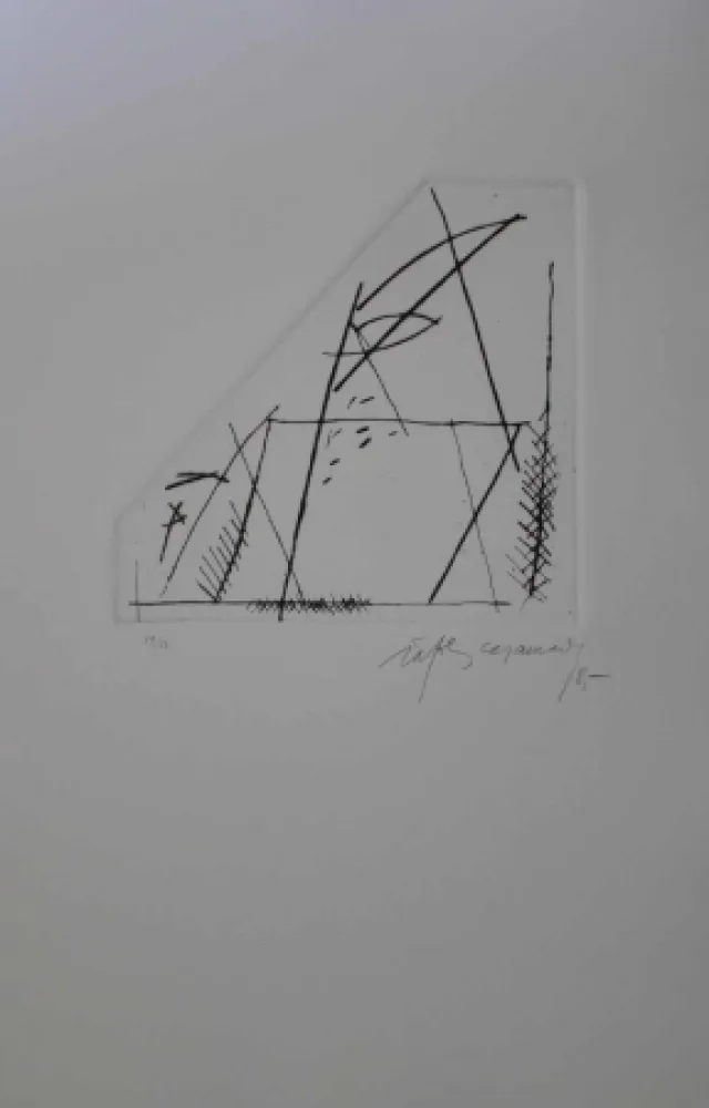 Stich Ràfols Casamada - Jardí 4