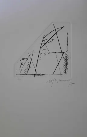 Stich Ràfols Casamada - Jardí 4