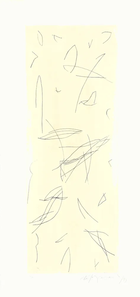 Stich Ràfols Casamada - Ocells-1