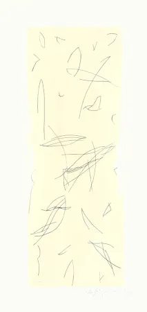 Stich Ràfols Casamada - Ocells-1