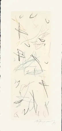 Stich Ràfols Casamada - Ocells-Variant 1-2