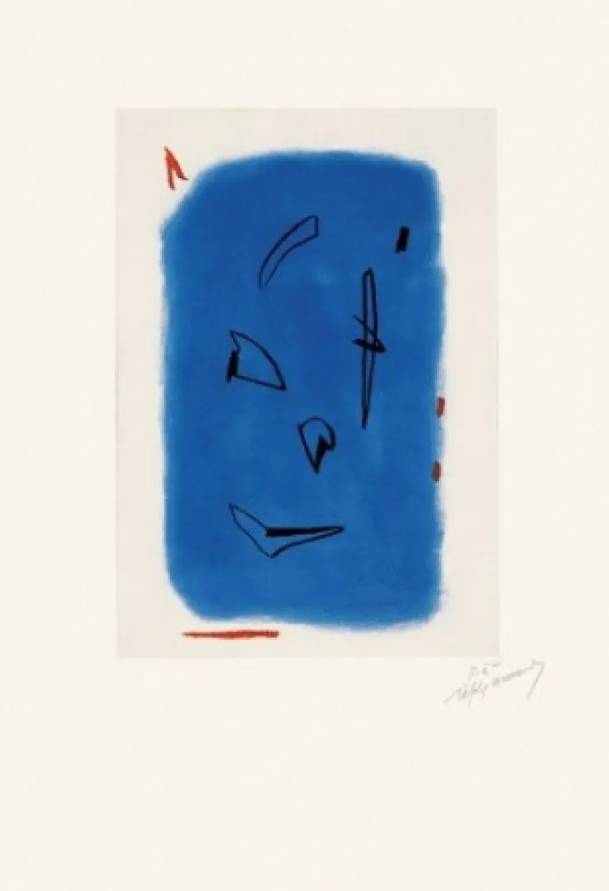 Stich Ràfols Casamada - Primavera-1	