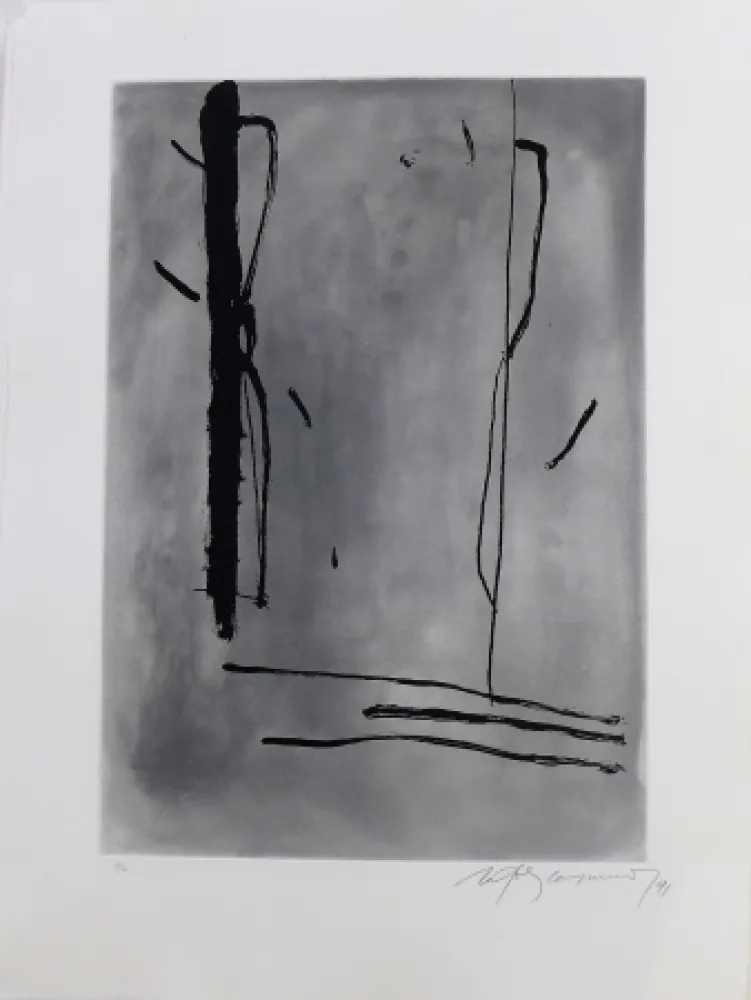 Stich Ràfols Casamada - Signe i color-1	 