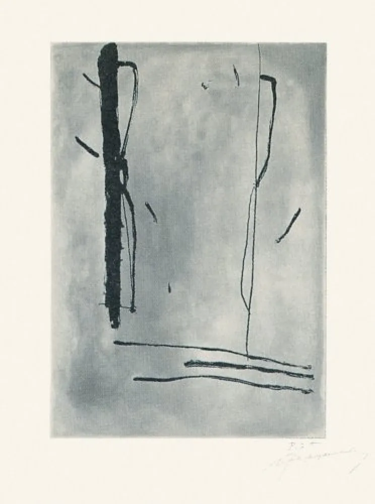 Stich Ràfols Casamada - Signe i color-1