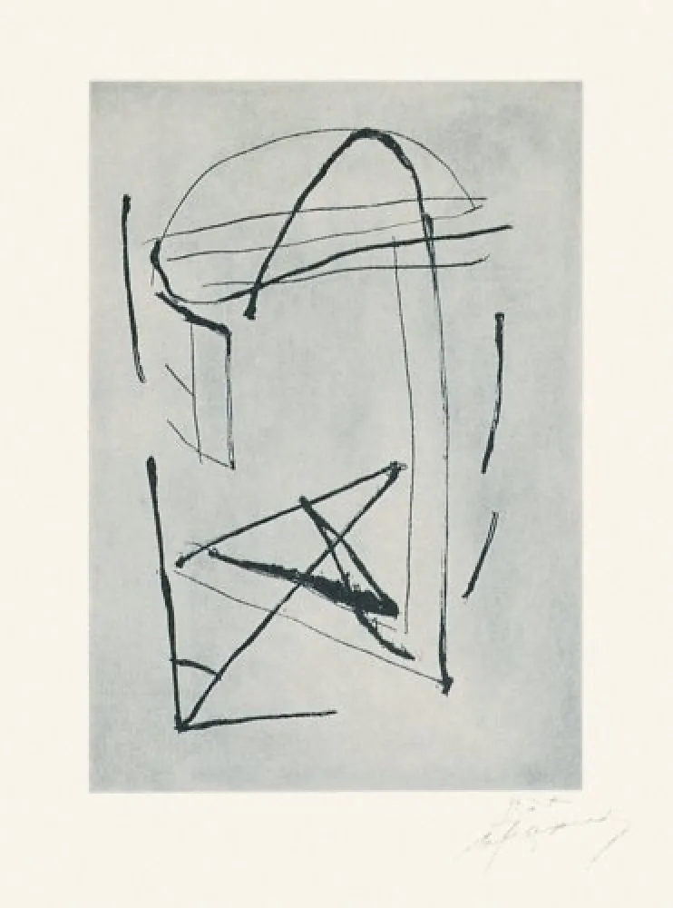 Stich Ràfols Casamada - Signe i color-2