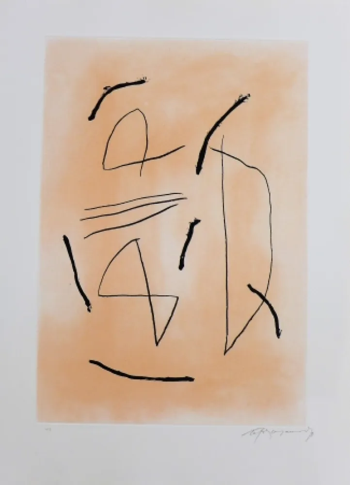 Stich Ràfols Casamada - Signe i color-4 