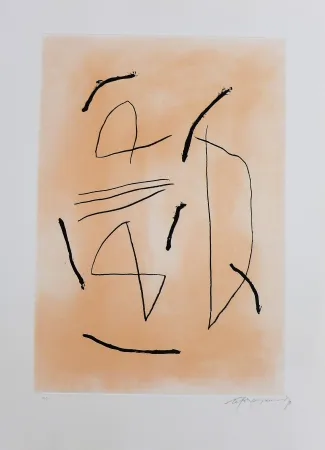 Stich Ràfols Casamada - Signe i color-4 