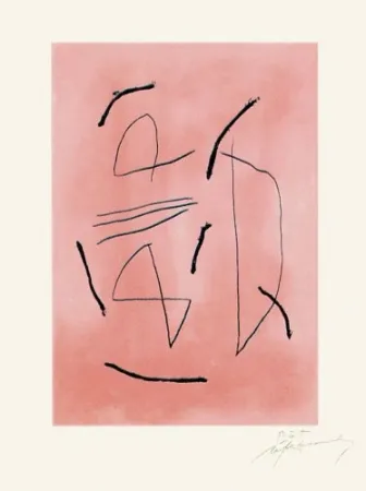 Stich Ràfols Casamada - Signe i color-4