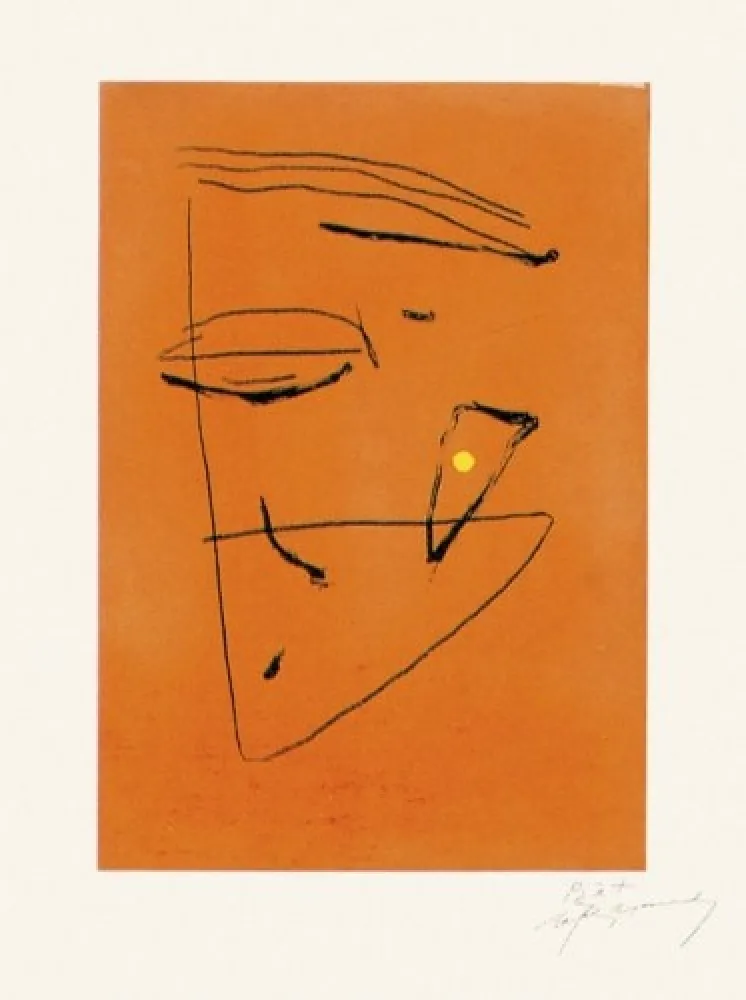 Stich Ràfols Casamada - Signe i color - 5