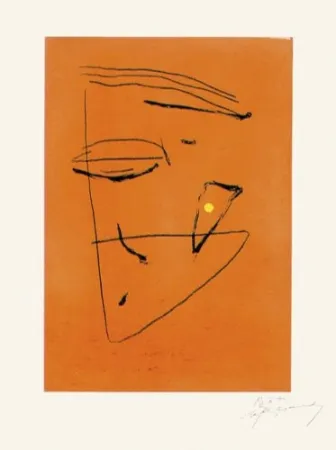 Stich Ràfols Casamada - Signe i color - 5