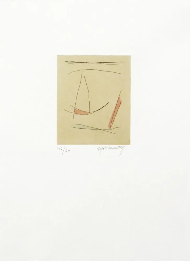 Stich Ràfols Casamada - Signe i colors