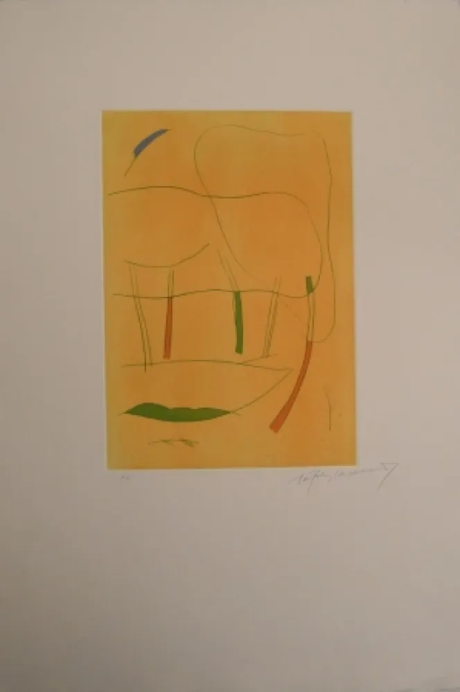 Stich Ràfols Casamada - Sin Título