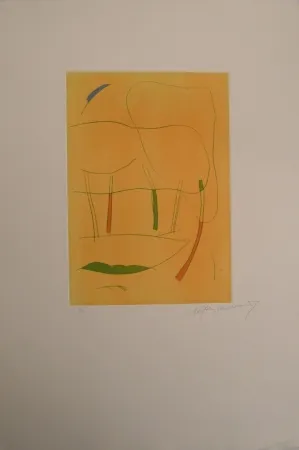 Stich Ràfols Casamada - Sin Título