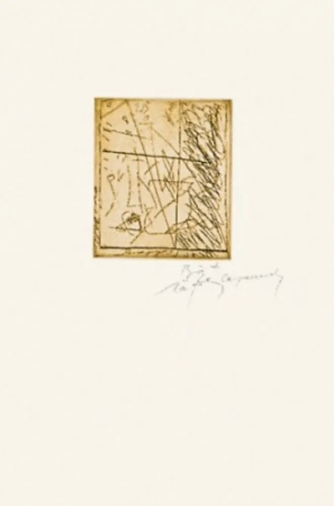 Stich Ràfols Casamada - Taula-7	