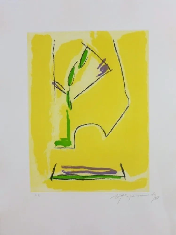 Stich Ràfols Casamada - Terrasses-1	