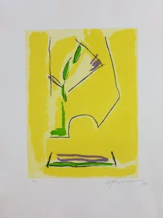 Stich Ràfols Casamada - Terrasses-1	