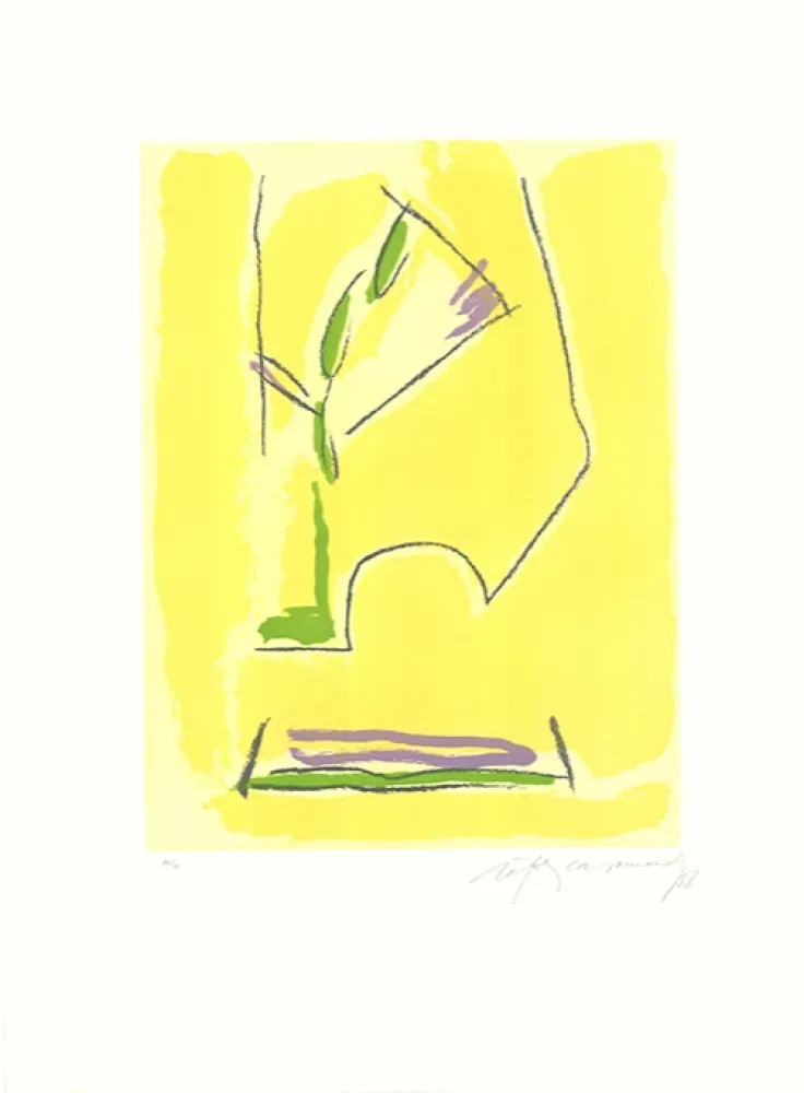 Radierung Und Aquatinta Ràfols Casamada - Terrasses-1