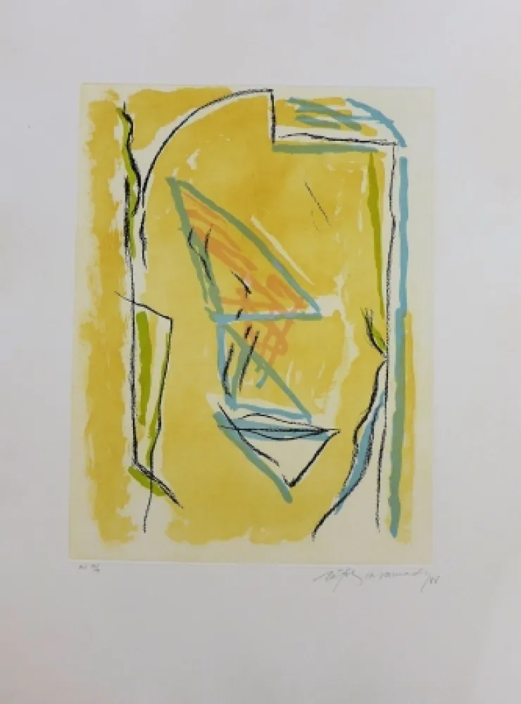 Stich Ràfols Casamada - Terrasses-2