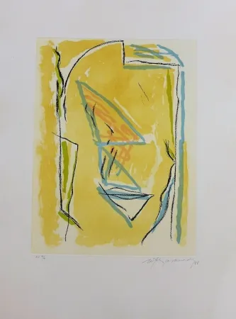 Stich Ràfols Casamada - Terrasses-2