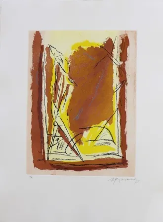 Stich Ràfols Casamada - Terrasses-4	