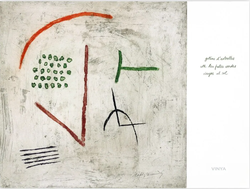 Stich Ràfols Casamada - Vinya