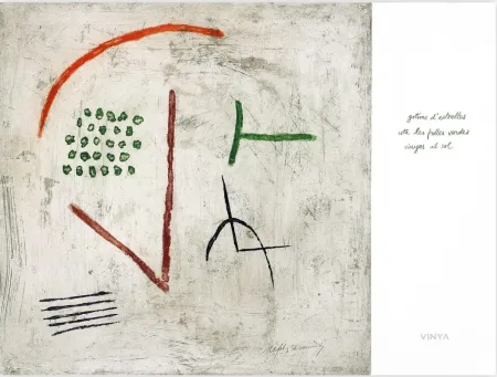 Stich Ràfols Casamada - Vinya