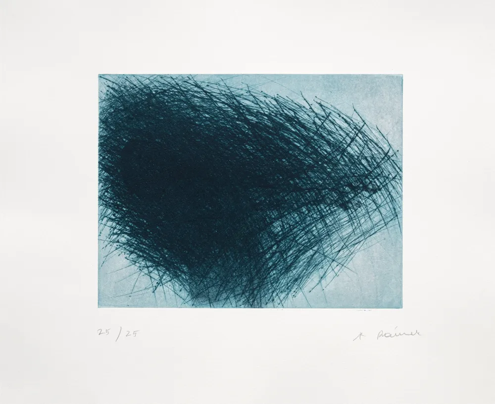 Stich Rainer - Schwarm