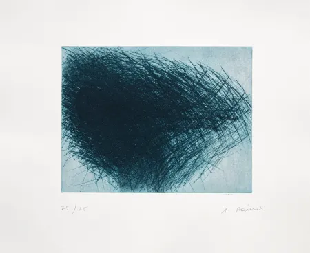 Stich Rainer - Schwarm