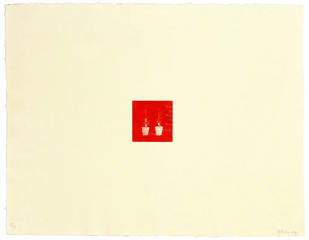 Stich Ramírez Suass - S'enraciner