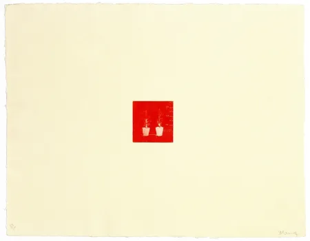 Stich Ramírez Suass - S'enraciner