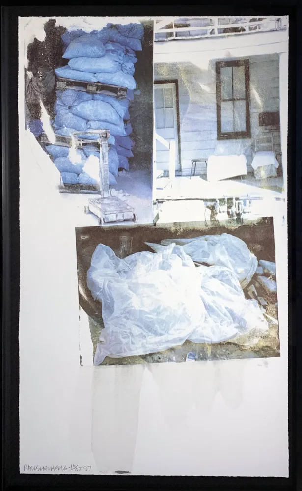 Siebdruck Rauschenberg - Daydream (Speculations)