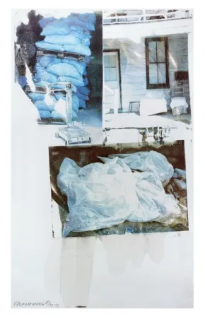 Siebdruck Rauschenberg - Daydream (Speculations)