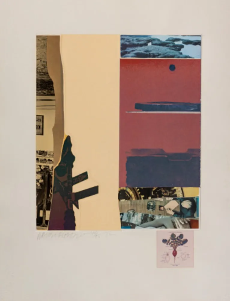 Multiple Rauschenberg - XI (from Horsefeathers Thirteen)
