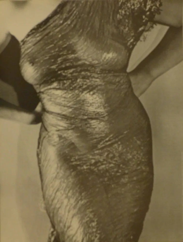 Plakat Ray - Anatomies