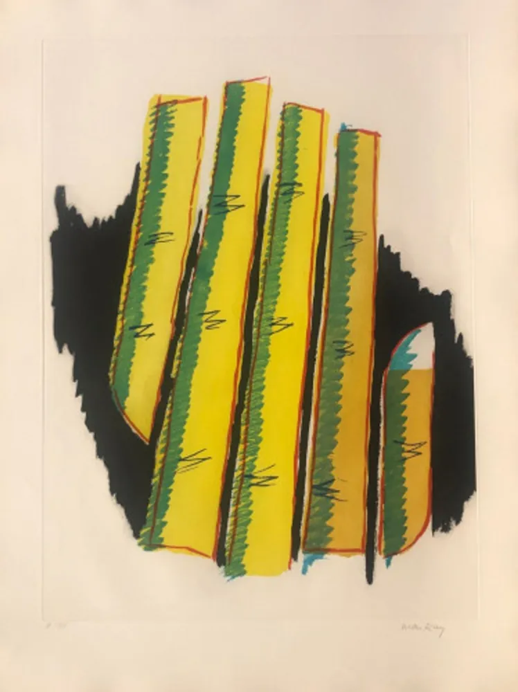 Aquatinta Ray - Cactus