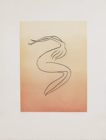 Aquatinta Ray - Man Ray (1890–1976) - Anatoms without Rime or Reason for Every Season - Aquatint and soft ground on paper - 1970