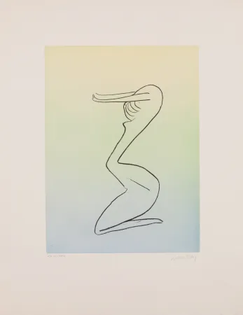 Aquatinta Ray - Man Ray (1890–1976) - Anatoms without Rime or Reason for Every Season - Aquatint and soft ground on paper - 1970