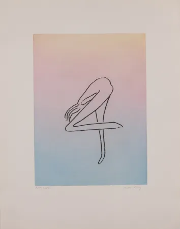 Aquatinta Ray - Man Ray (1890–1976) - Anatoms without Rime or Reason for Every Season - Aquatint and soft ground on paper - 1970