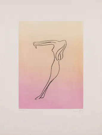 Aquatinta Ray - Man Ray (1890–1976) - Anatoms without Rime or Reason for Every Season - Aquatint and soft ground on paper - 1970