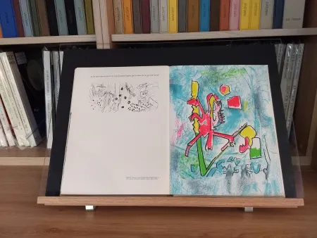 Illustriertes Buch Ray - No 45