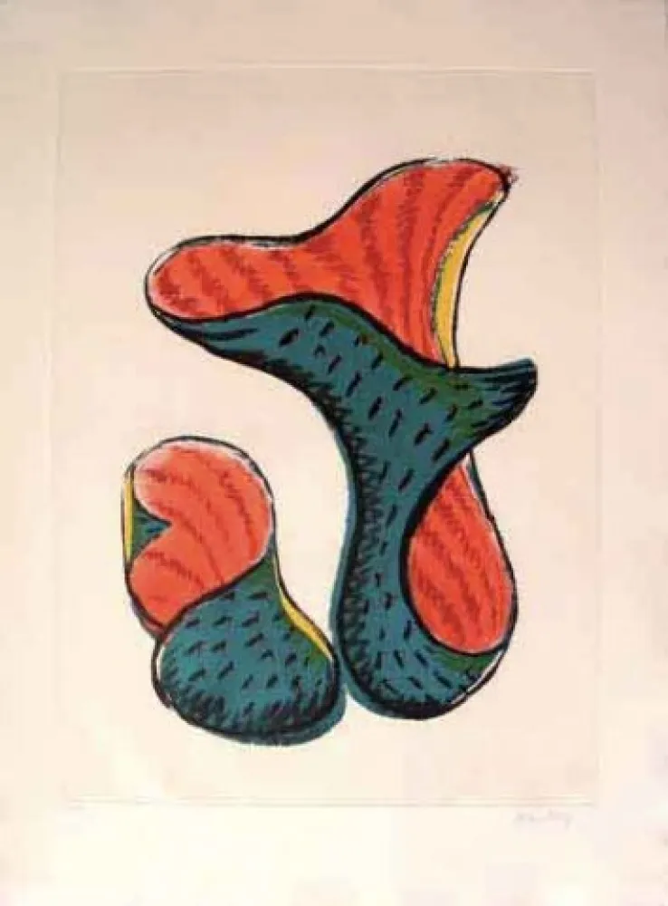 Stich Ray - Transfiguration D' Un Cactus 3