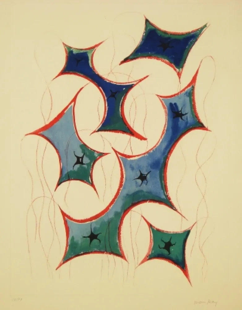 Radierung Und Aquatinta Ray - Transfiguration d'un cactus