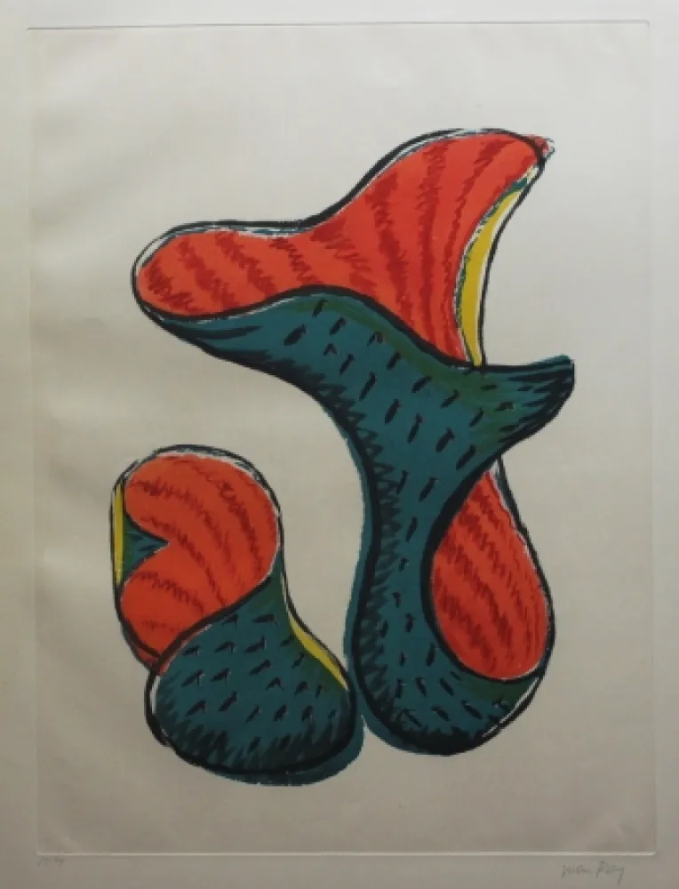 Radierung Und Aquatinta Ray - Transfiguration d'un cactus