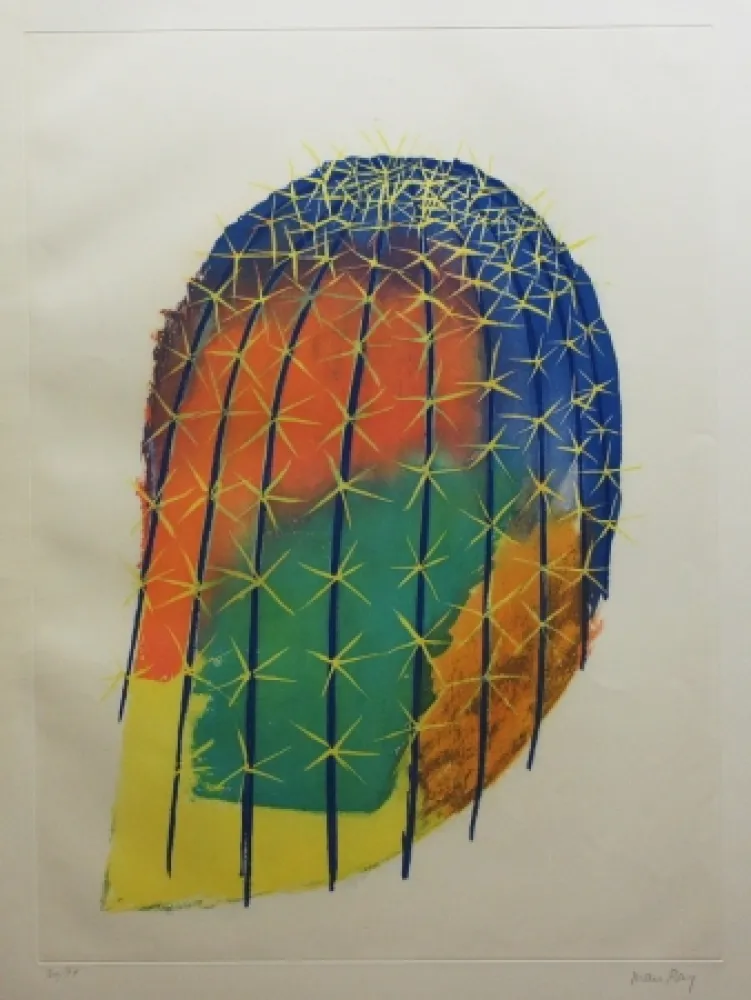 Radierung Und Aquatinta Ray - Transfiguration d'un cactus