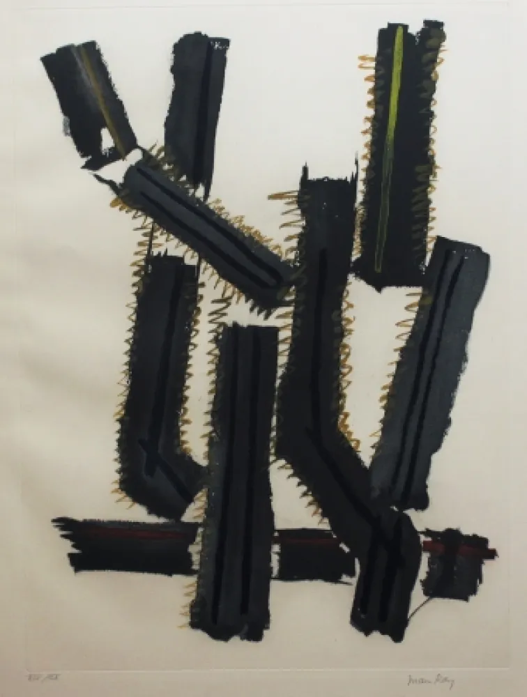 Radierung Und Aquatinta Ray - Transfiguration d'un cactus