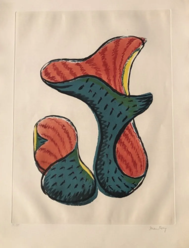 Aquatinta Ray - Untitled (from Transfiguration d' un Cactus)