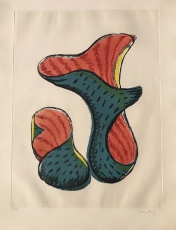 Aquatinta Ray - Untitled (from Transfiguration d' un Cactus)