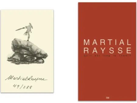 Illustriertes Buch Raysse - L'art en écrit