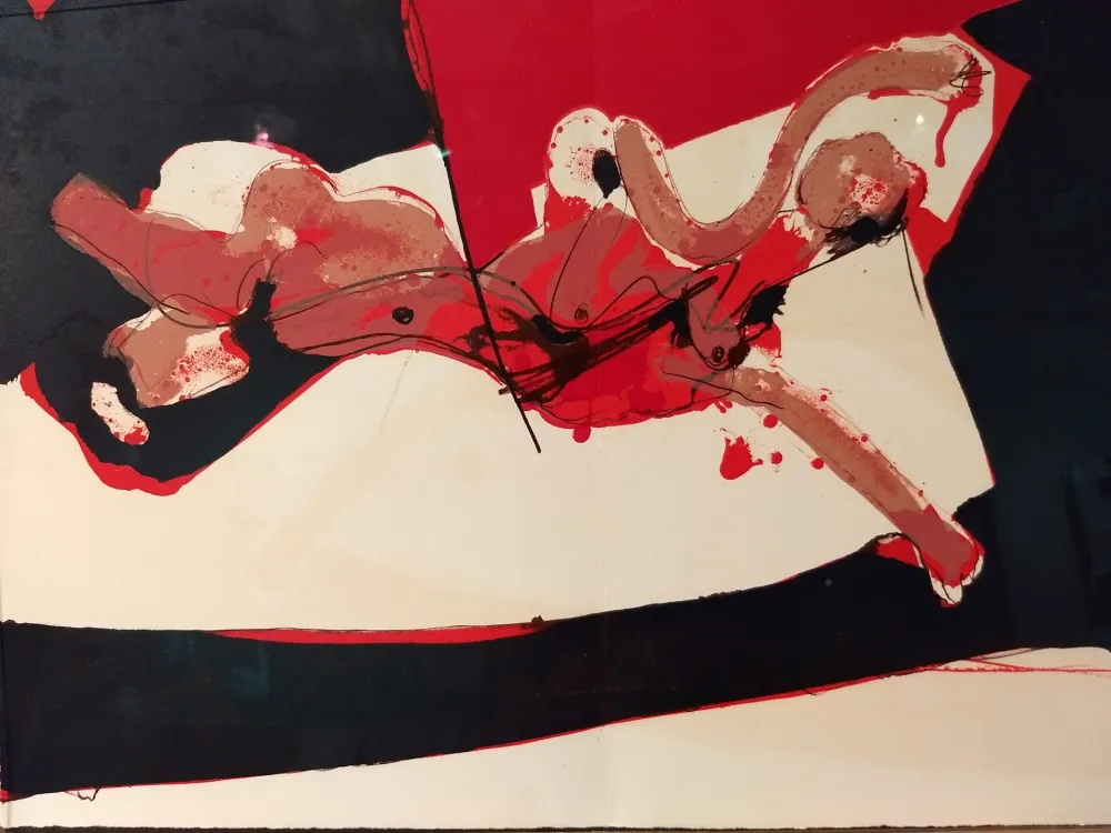 Illustriertes Buch Rebeyrolle - Coexistances